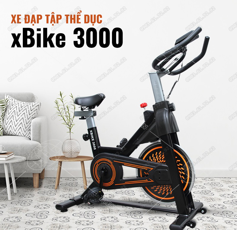 xe đạp tập thể dục tại chỗ xbike 3000